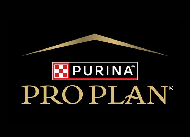 Pro Plan
