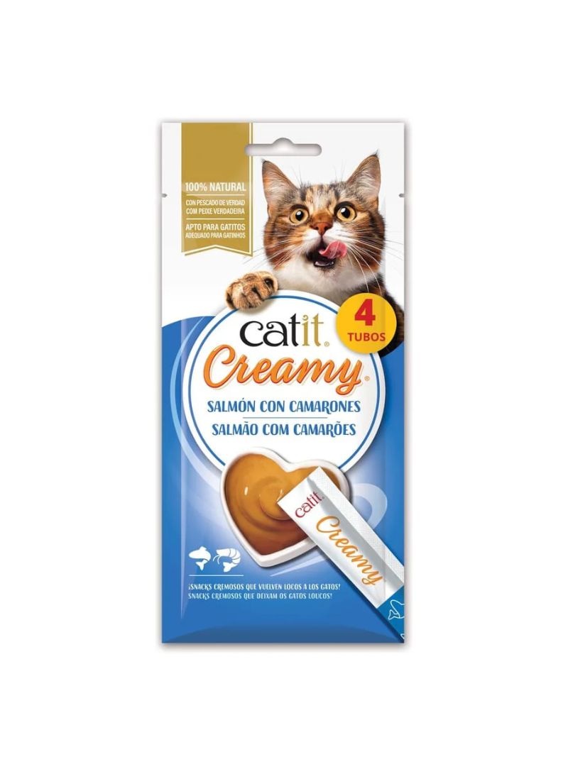 44453