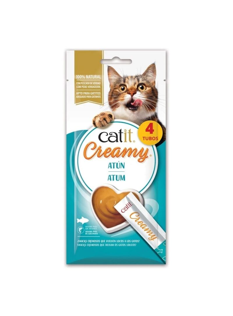 44454