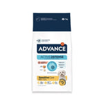 A12198