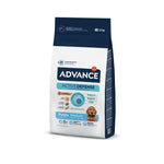 AD507519