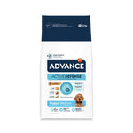 AD507519