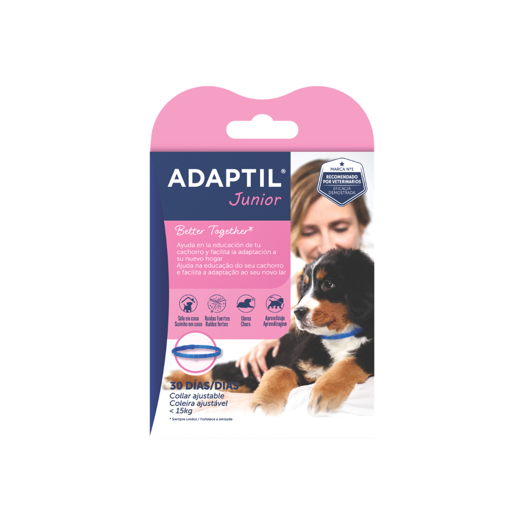 ADAPT465