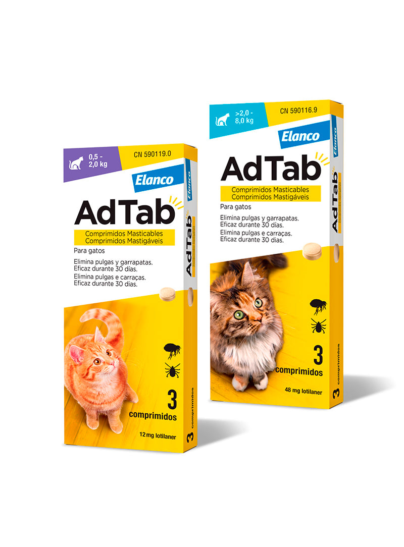 ADTABG13