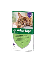ADVAGP