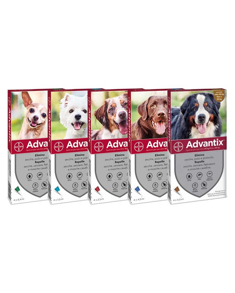 ADVAT040