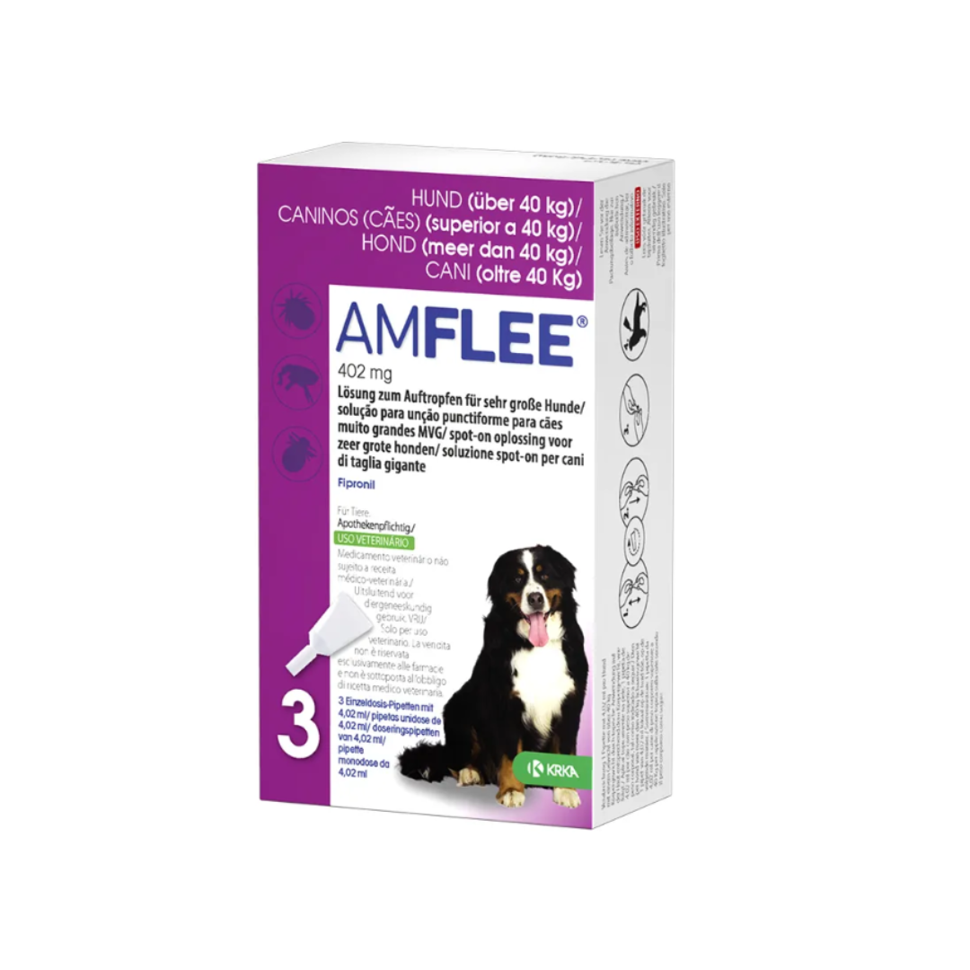 AMFLC402
