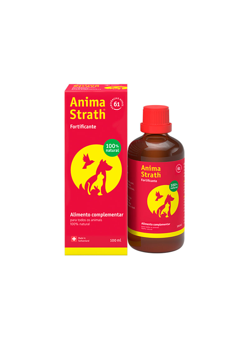 ANSTR100