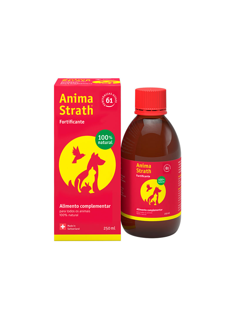ANSTR100