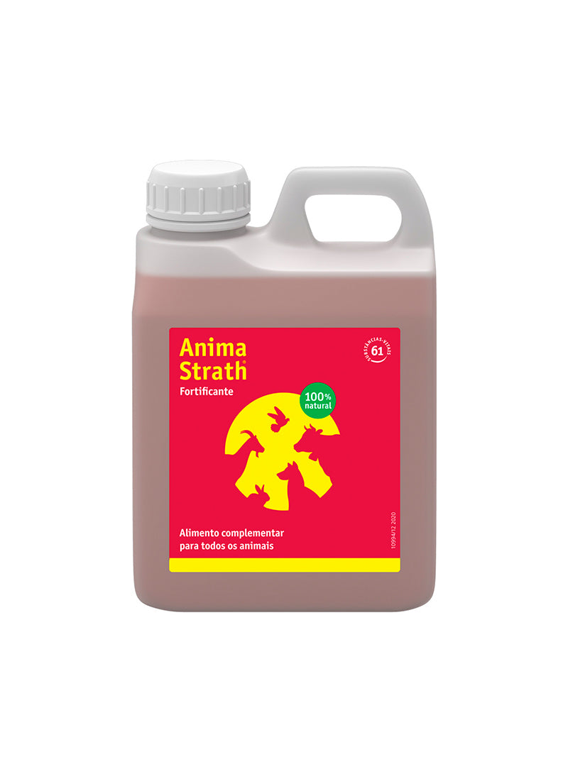 ANSTR100