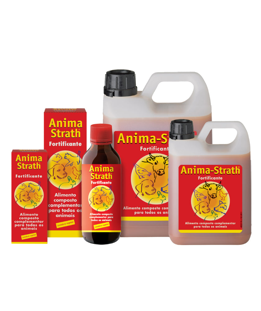 ANSTR100
