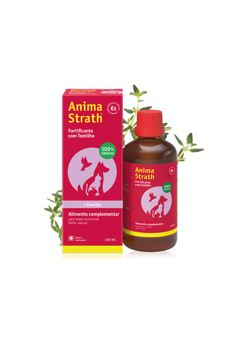ANSTRTOM