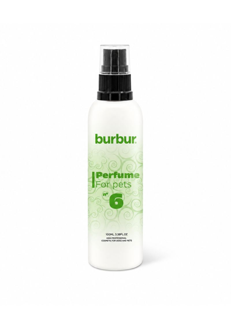 BUR1010100