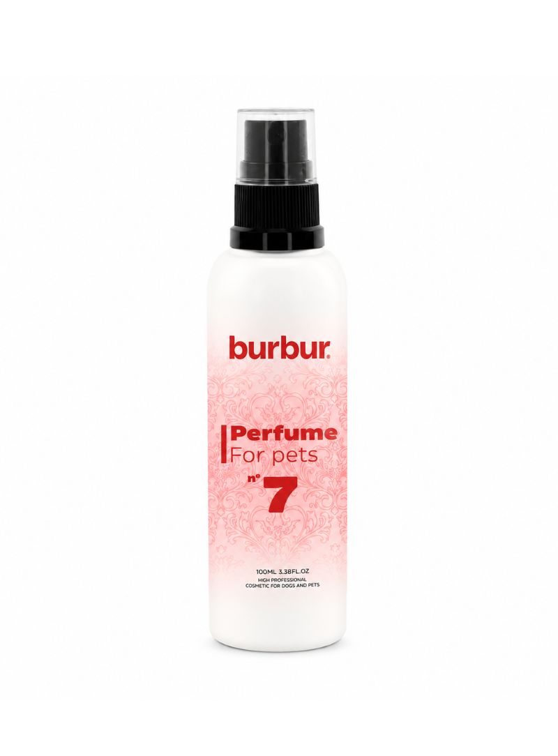 BUR1010103