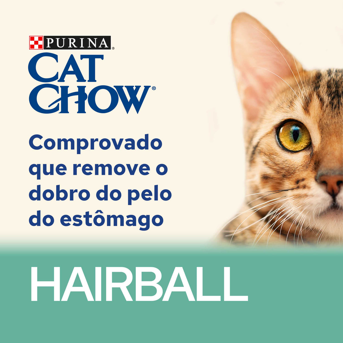CCHADSA