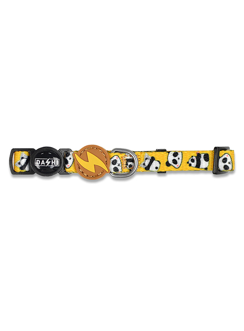 DCC00017