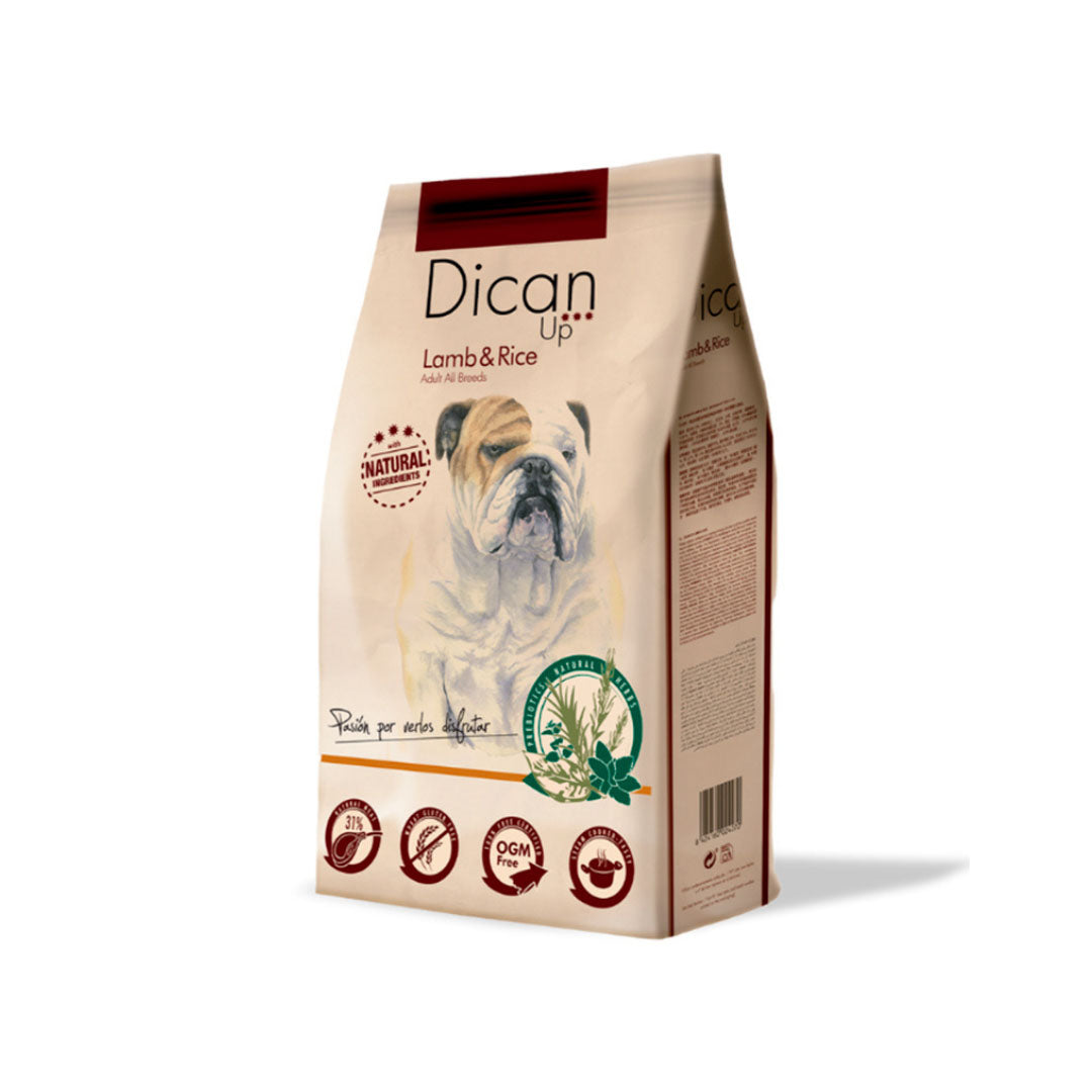 DCN6941