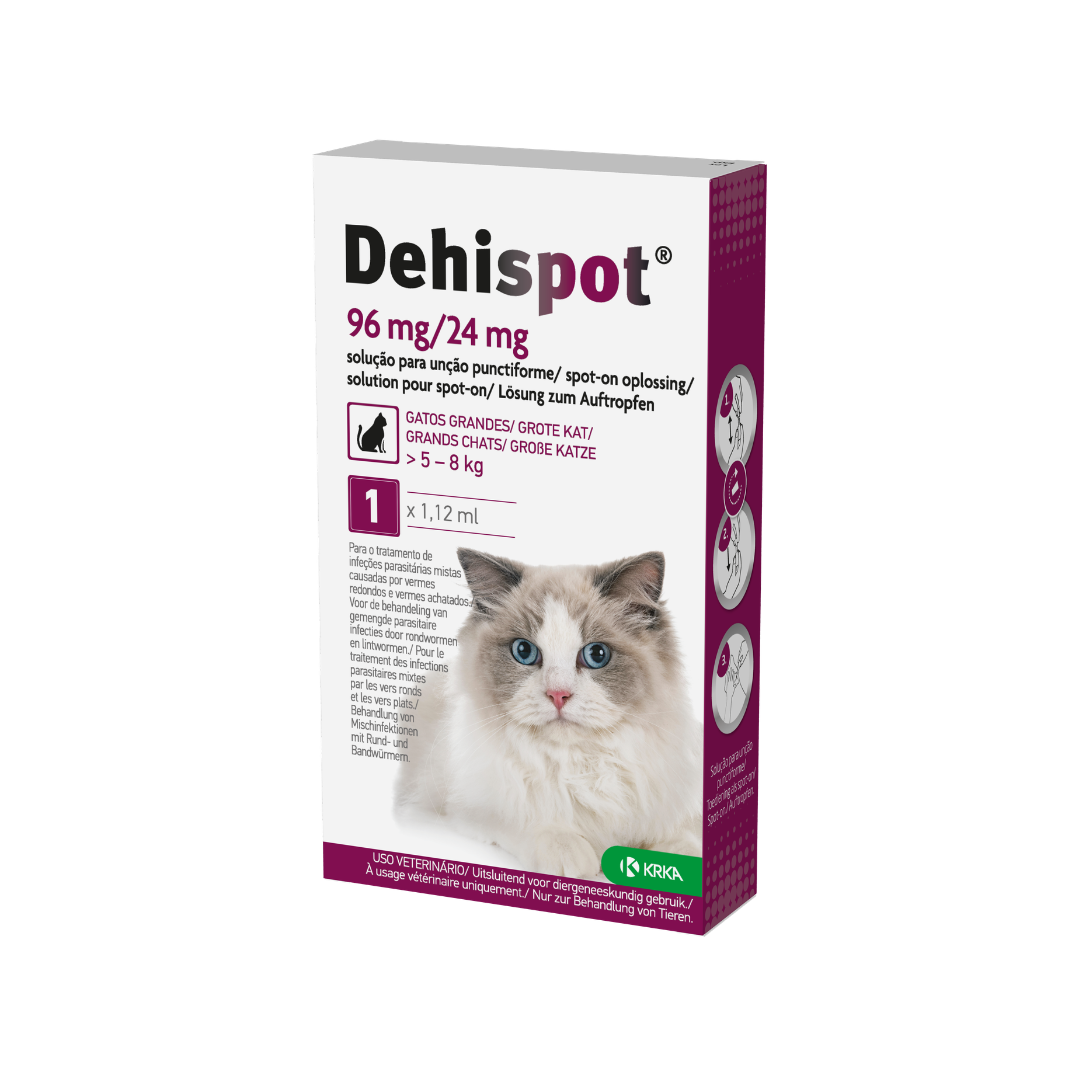 DEHISPO24