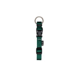 DIT99500