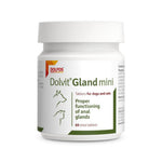 DOLVGLAM60