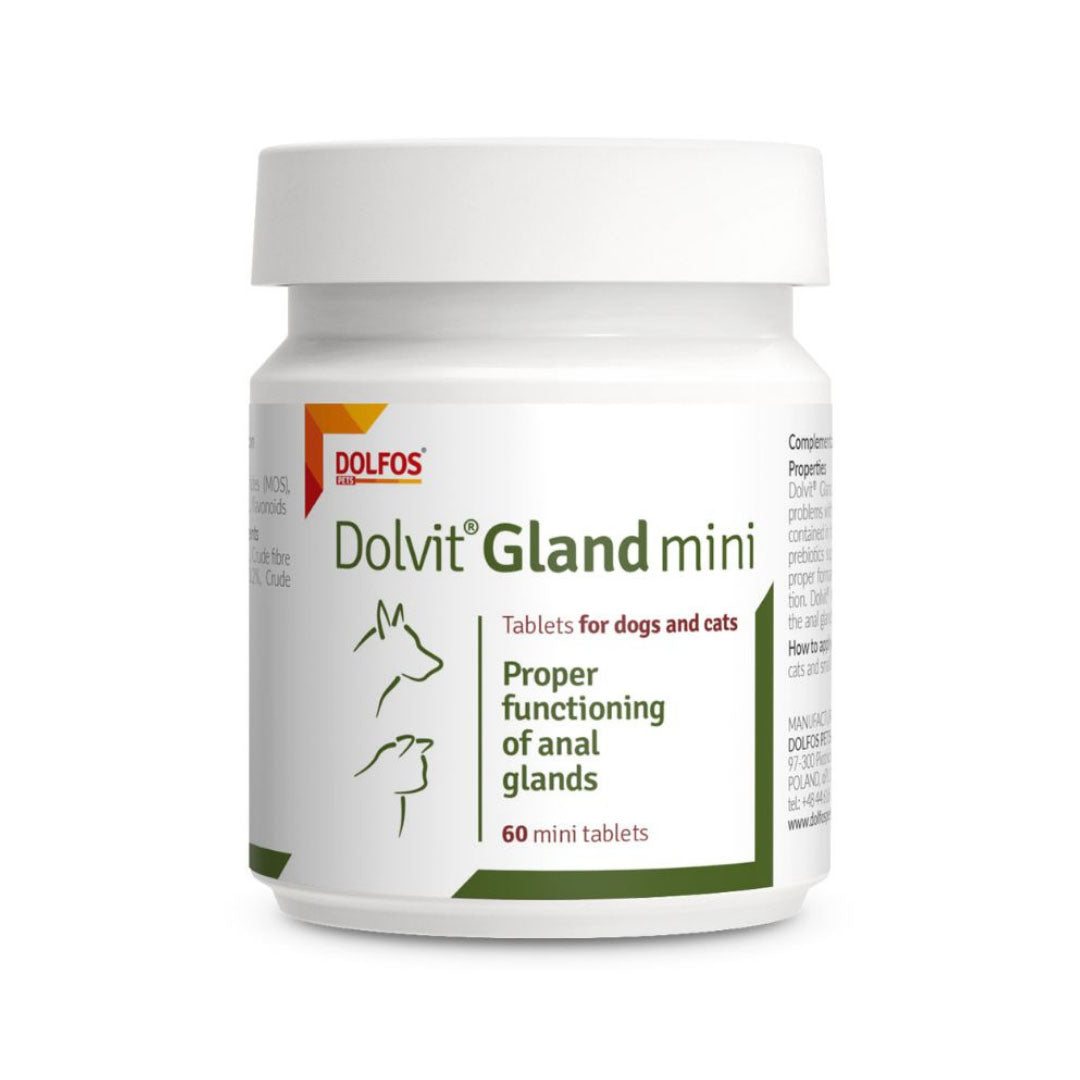 DOLVGLAM60