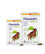 FLEXAA