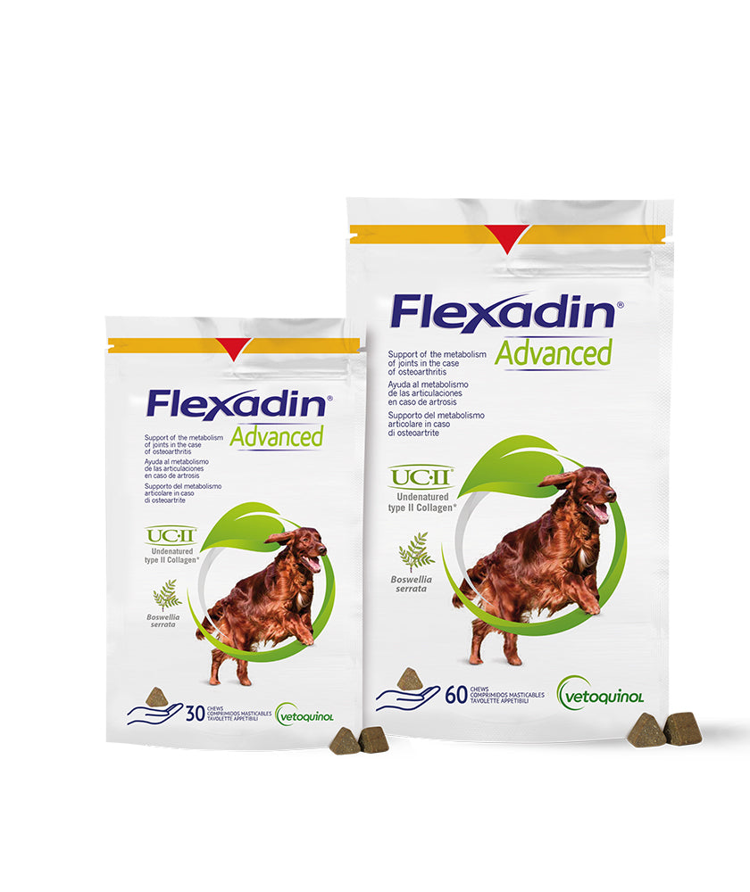 FLEXAA