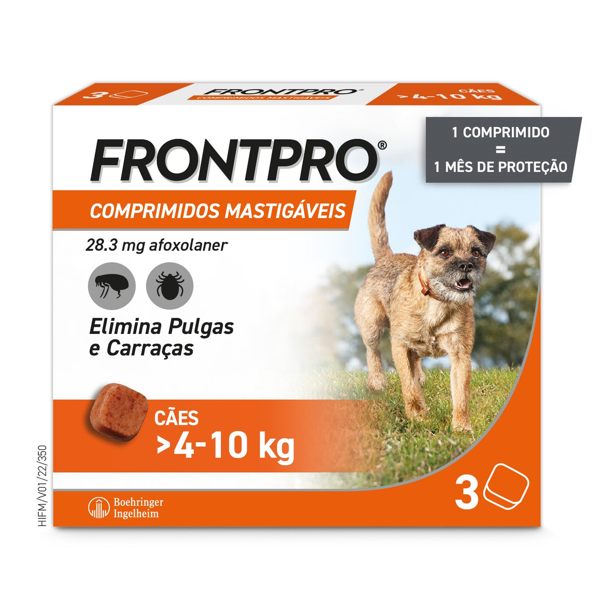 FRONTPROM