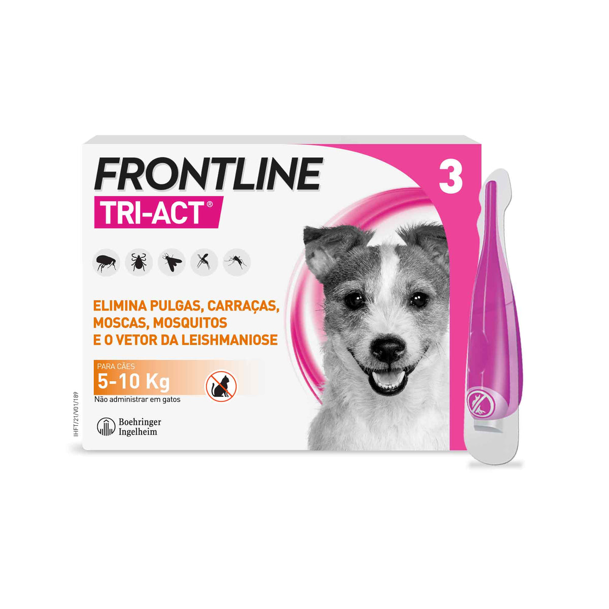 FRONTRS