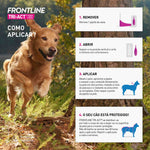 FRONTRXS