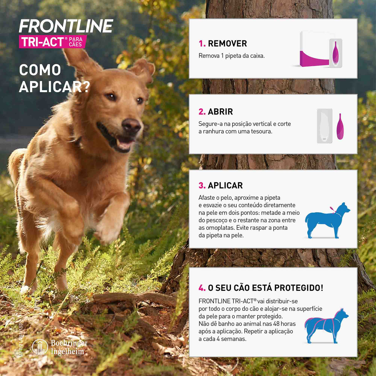 FRONTRXS