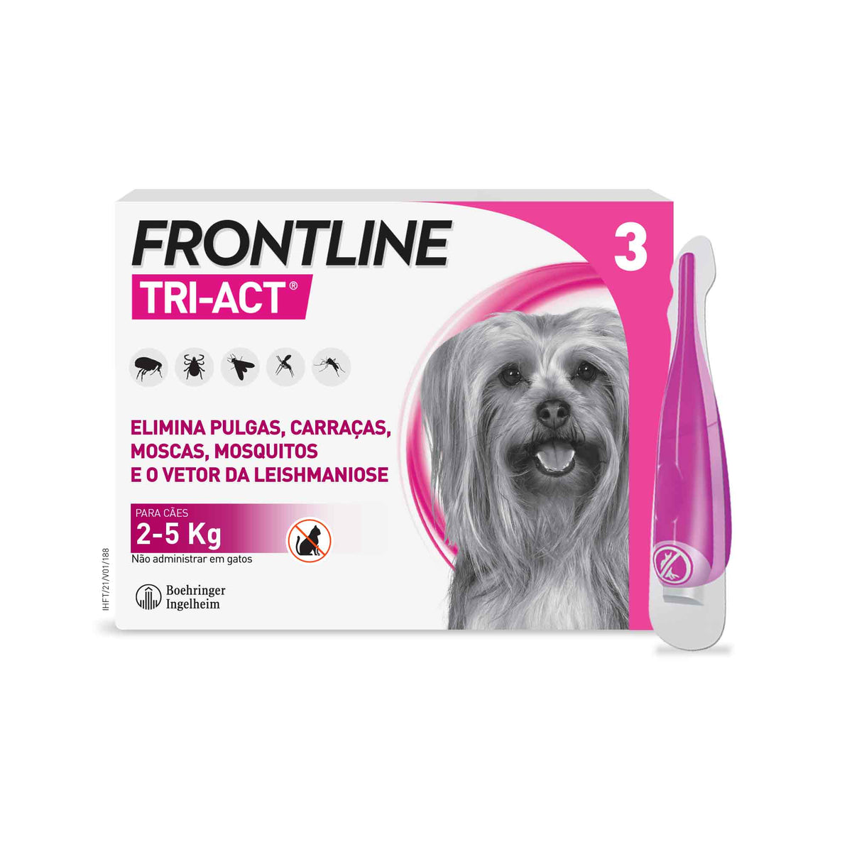 FRONTRXS