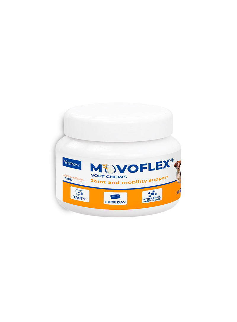 MOVOFLEXS