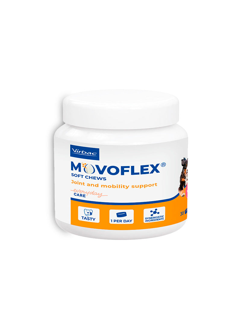 MOVOFLEXS