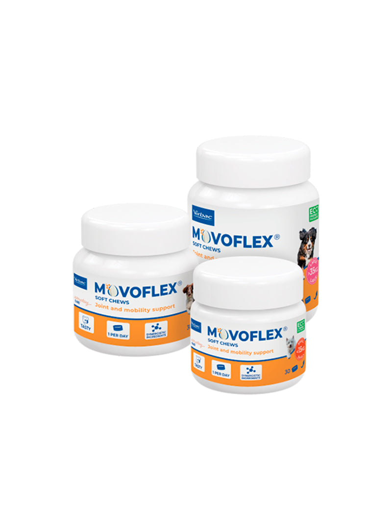MOVOFLEXS