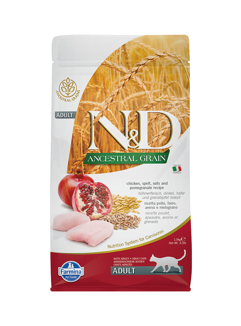 NDA6030