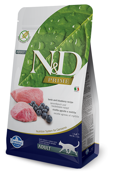NDP6240