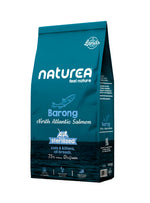NR256
