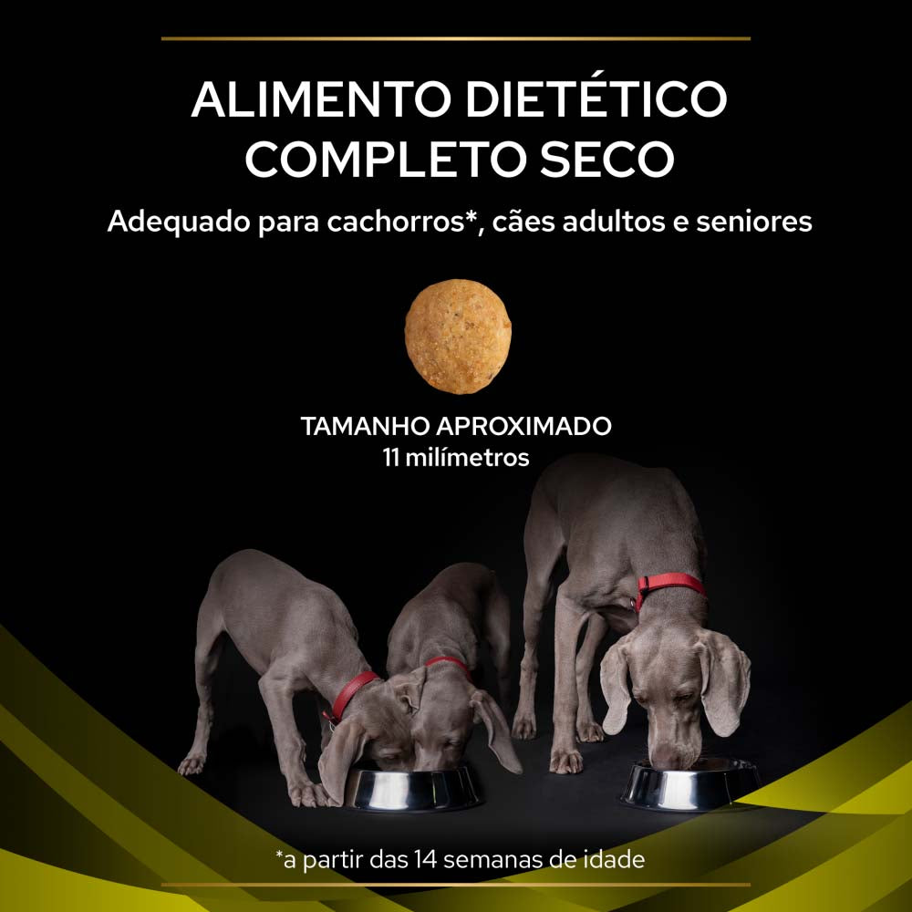 P12263610