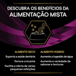 P12308818