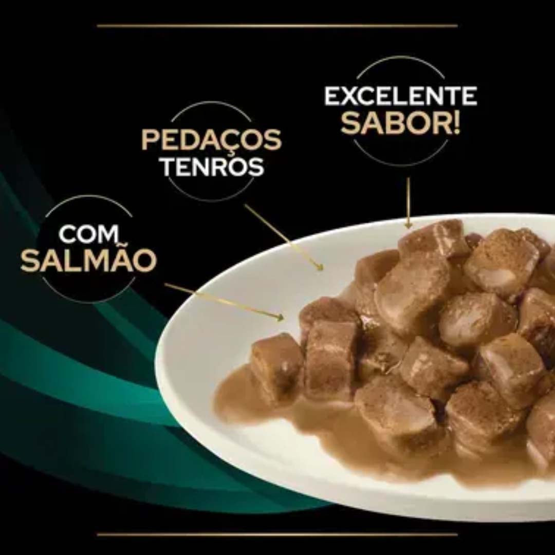 P12331739