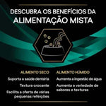 P12331739