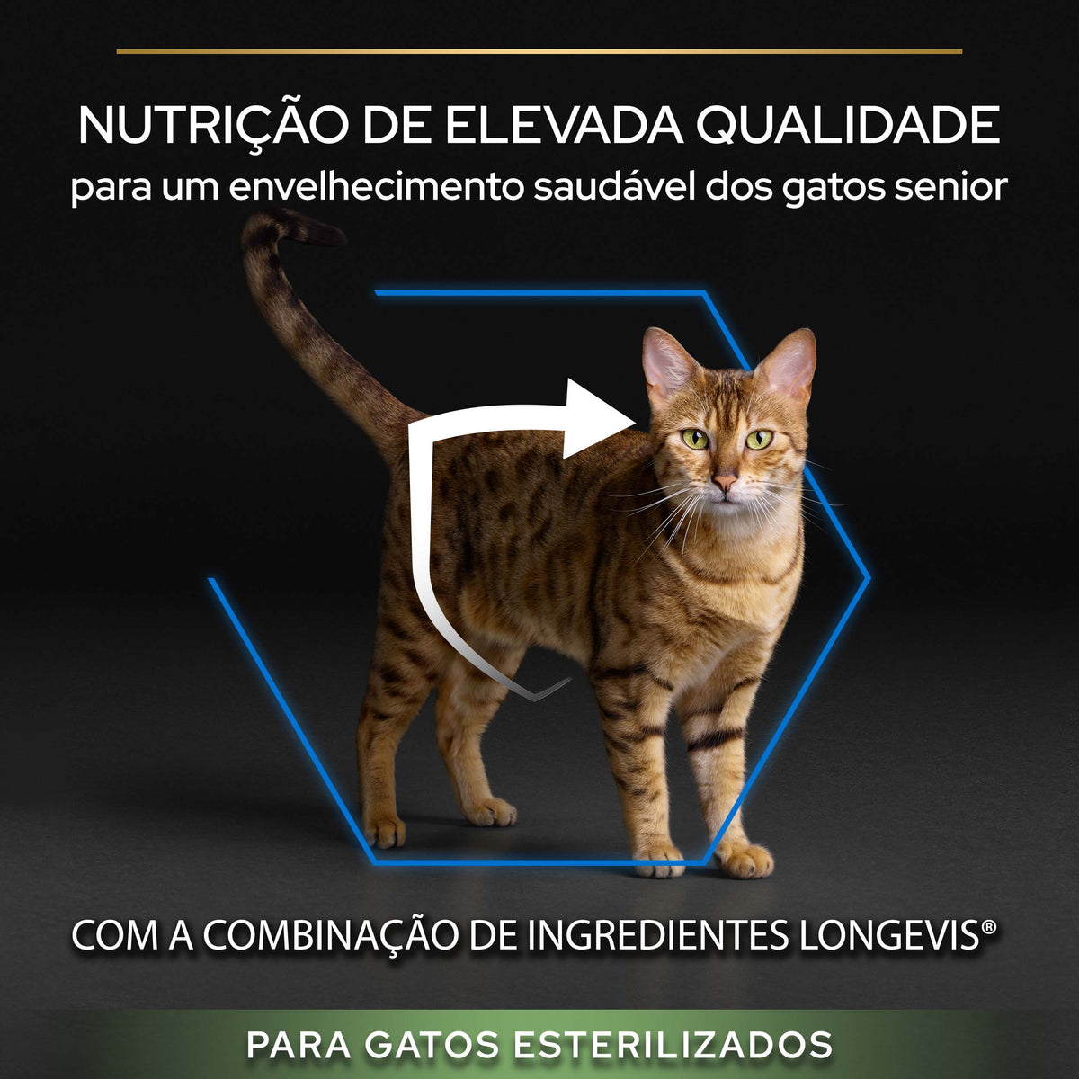 P12369529N