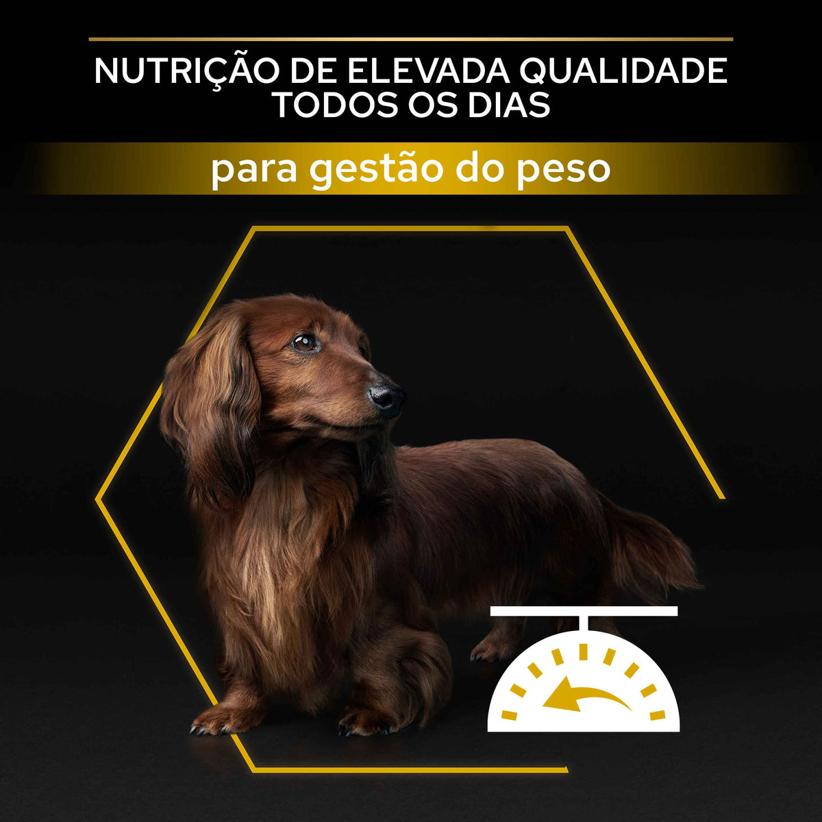 P12374193