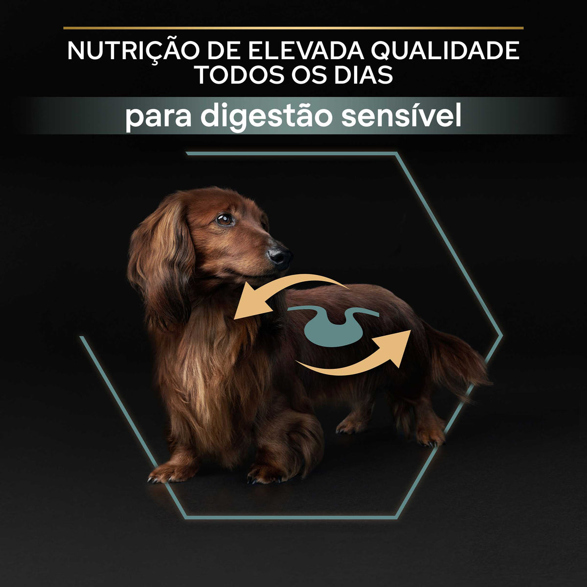 P12377367