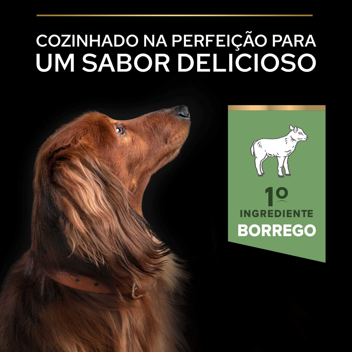 P12377367