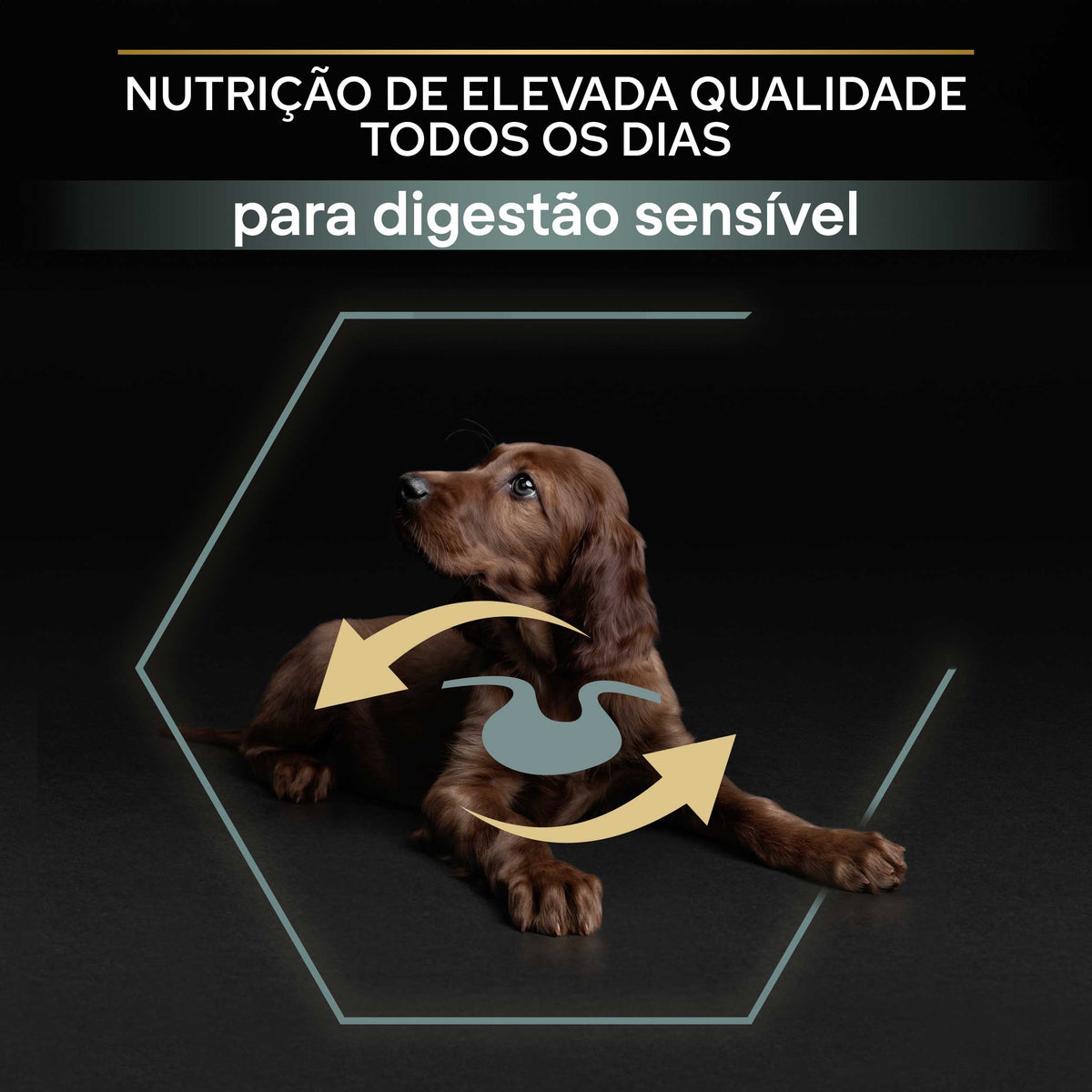 P12383843