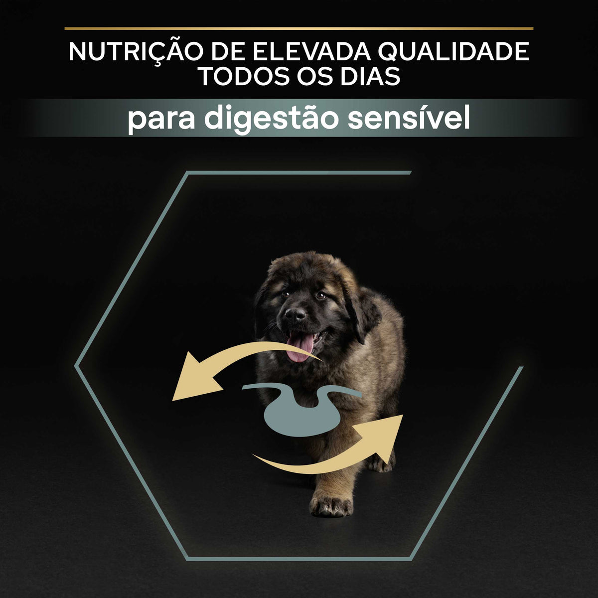 P12383945