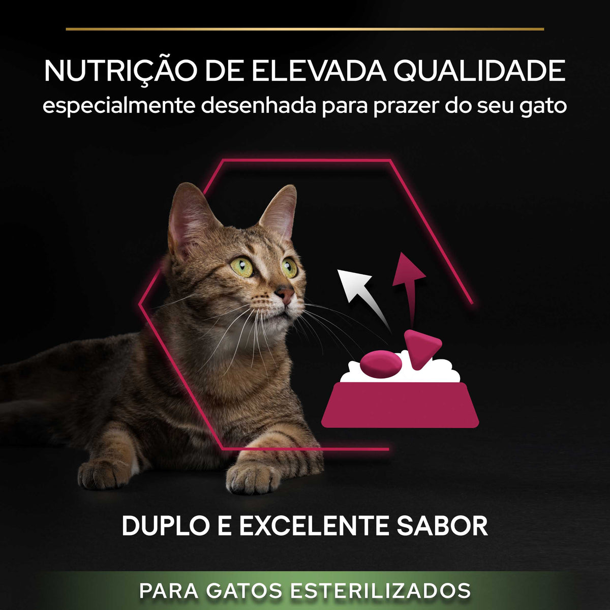 P12384808