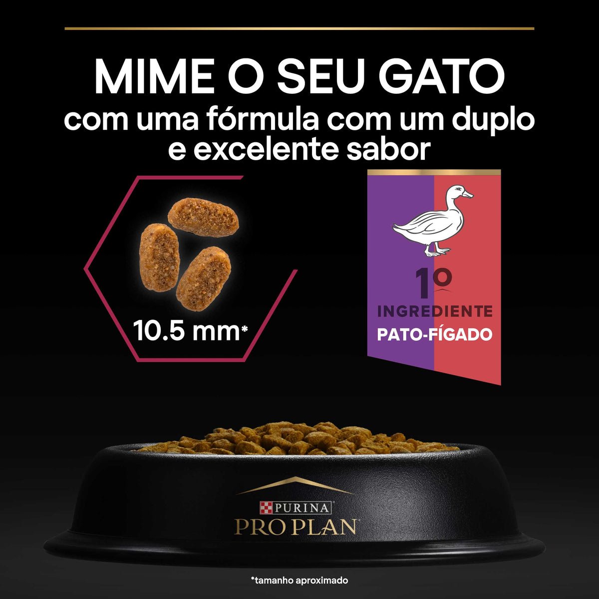 P12384808